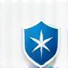 Shield icon representing the confidence and control gained over one's public image.