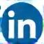 LinkedIn social media icon