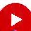 YouTube social media icon